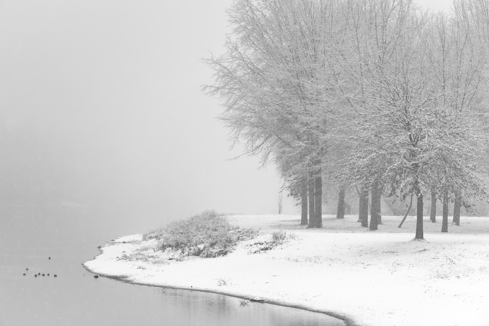 Aranypart Győr télen havas fák